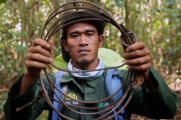 Save Sumatran tigers from snares